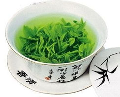 醇香绿茶，为何来自日照