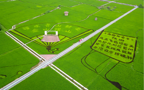 &ldquo;绿水青山都江堰天府好水润好茶&rdquo;都江堰茶叶专场推介活动举行